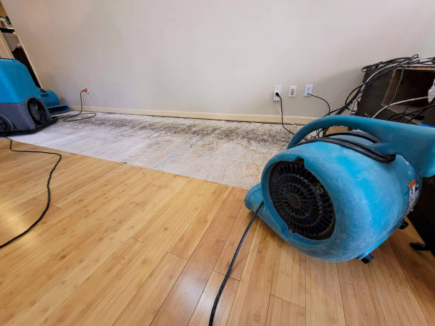 Professional Burst Pipe Water Damage technician working in Proctor, WV