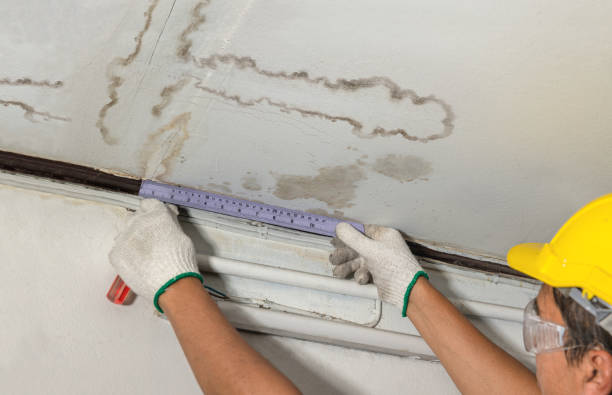 Affordable Burst Pipe Water Damage solutions in Proctor, WV
